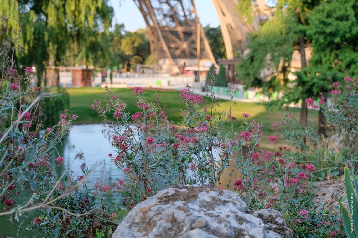 Photo of Eiffel Tower gardens