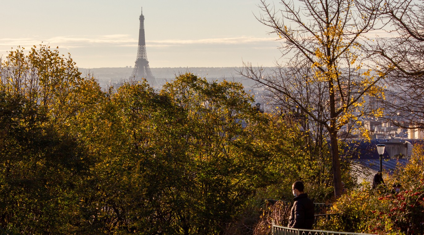 The Eiffel Tower from a distance